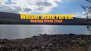 preview picture of video 'Roaring Creek Tract'