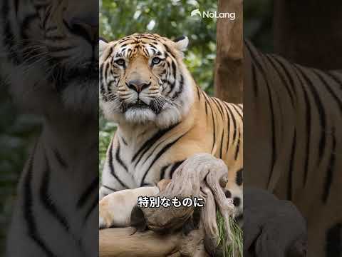 フランスの動物園と水族館のリスト - 定義