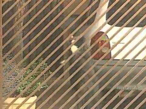 Apitaço: Moradores unidos tomando conta da cidade