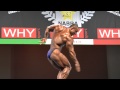 Keivan Gomanian - Competitor No 86 - Class 3 - Final - NABBA World 2013