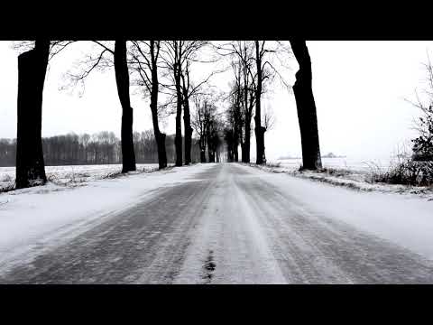 Testament - Piosenki harcerskie