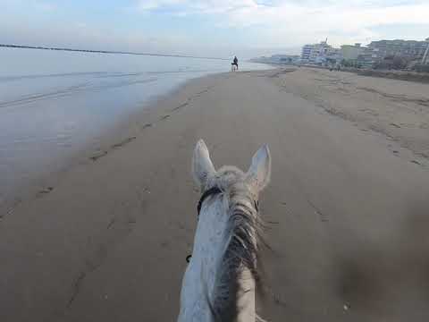 Luigina rincorre Fiord sulla spiaggia