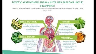 Download lagu Detoxic Palsu Dan Asli mp3