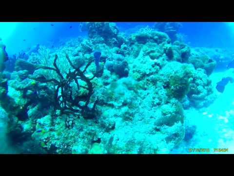 una aventura de buceo