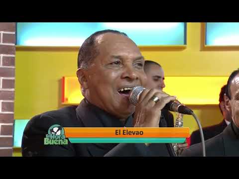 El Elevao - LOS GOLDEN BOYS (audio original)