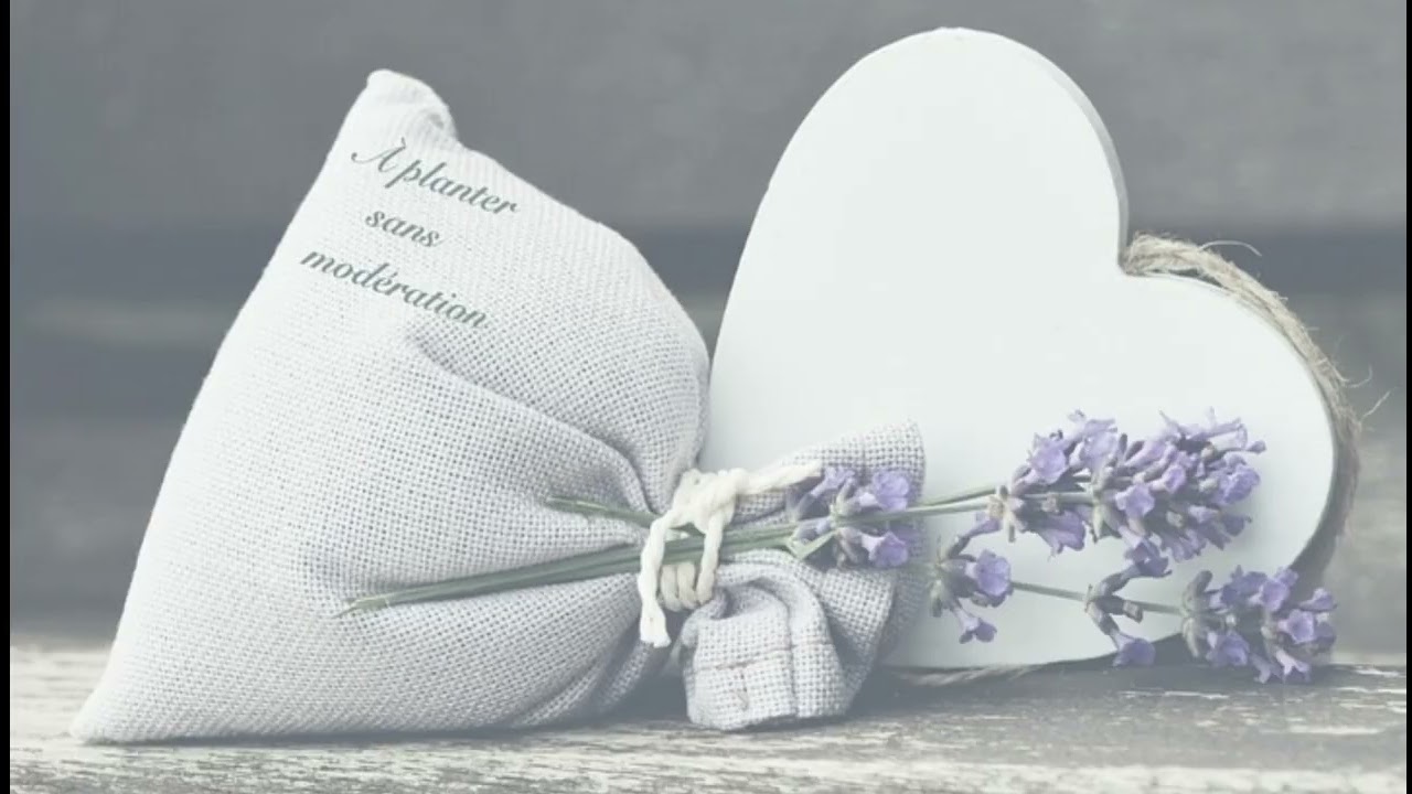 バニラ/きゃない　　　　　　　　　　　　　　　　たけりんバージョン