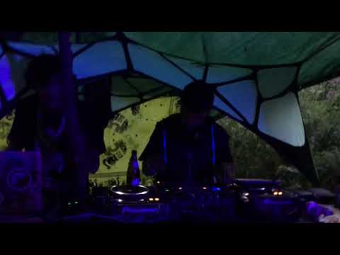 Insanus Maximus live in the bavarian forest