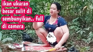 Download lagu Kasihhh p3n4mpakan ikan full camera.. Biar tambah SEMANG4TTTT mp3 Download lagu Kasihhh p3n4mpakan ikan full camera.. Biar tambah SEMANG4TTTT mp3