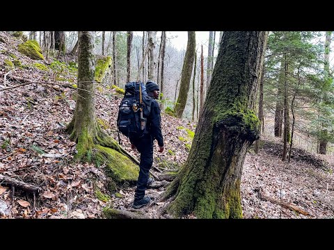 Solo Overnight Backpacking In The National Rain Forest !