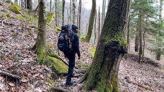 Solo Overnight Backpacking In The National Rain Forest !