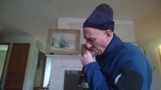 DIDN'T WE  Stan Getz David Kettlewell improvisation chromatic harmonica