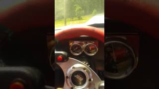 Mustang Walker POISON IVY