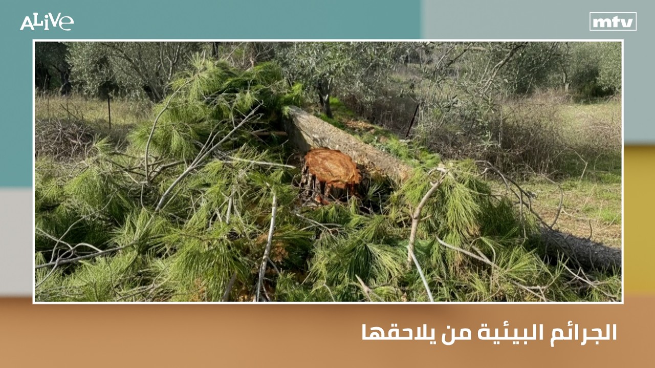 الجرائم البيئية من يلاحقها