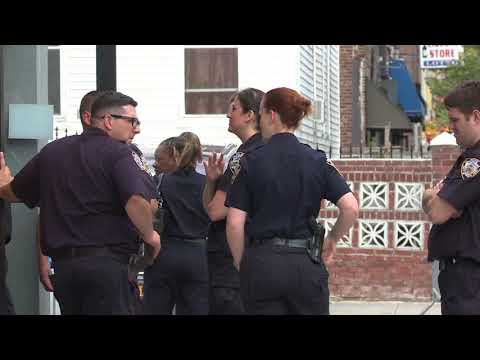 NYPD Crime Statistics