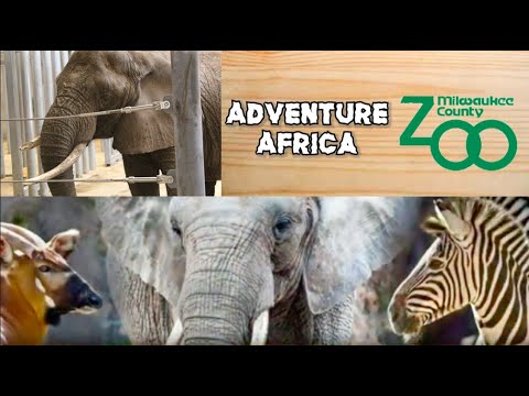 Adventure Africa - Milwaukee County Zoo ll Zoo Showcase Ep. 1