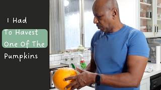 BREAKING: I Had To Harvest One Of The Pumpkins | Look What I Made From It