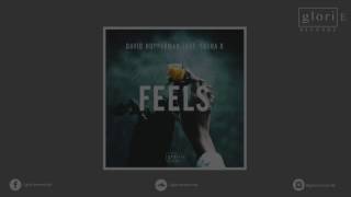 David Hopperman feat. Sasha K - Feels [Glorie Records]