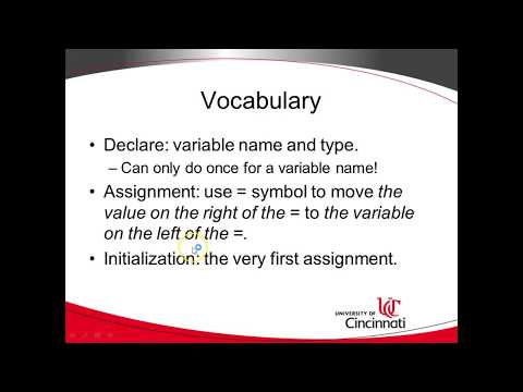 Variable Assignments Initialization