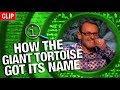 QI How The Giant Tortoise Got Its Name
