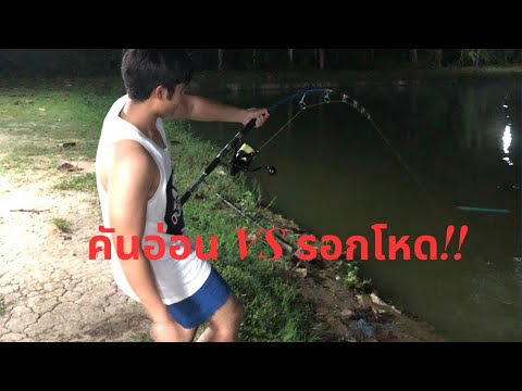 Fishing at night EP.5 เทสรอกใหม่ Daiwa Saltiga Dogfight 8000H VS FC monster O-zone PE 4-6