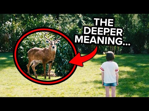 The Meaning Of THE DEER In LEAVE THE WORLD BEHIND