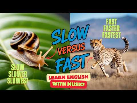 Comparatives and Superlatives Song | Learn English with Fun & Music!