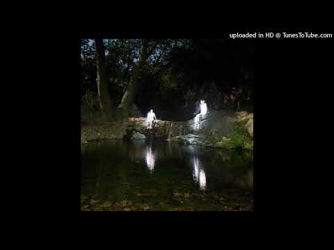 [free for profit] asap ant x gsg mont type beat "lotus sinfony"