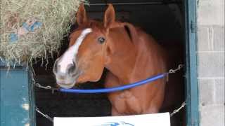 ROSALIND I HONESTLY LOVE YOU!! April 2014