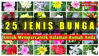 Download lagu 25 Jenis Bunga Untuk Mempercantik Halaman Rumah Anda mp3