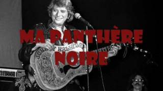 JOHNNY HALLYDAY - MA PANTHERE NOIRE (Brotherhood of Man song = Lady)