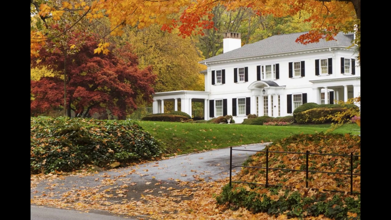 Company video EASY MAN AND VAN