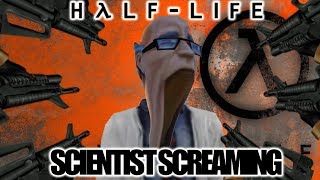 HALF-LIFE SCIENTIST SCREAMING