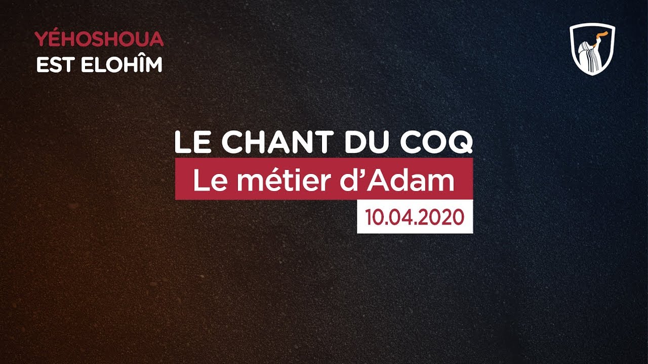 Thumbnail of video: Le métier d'Adam