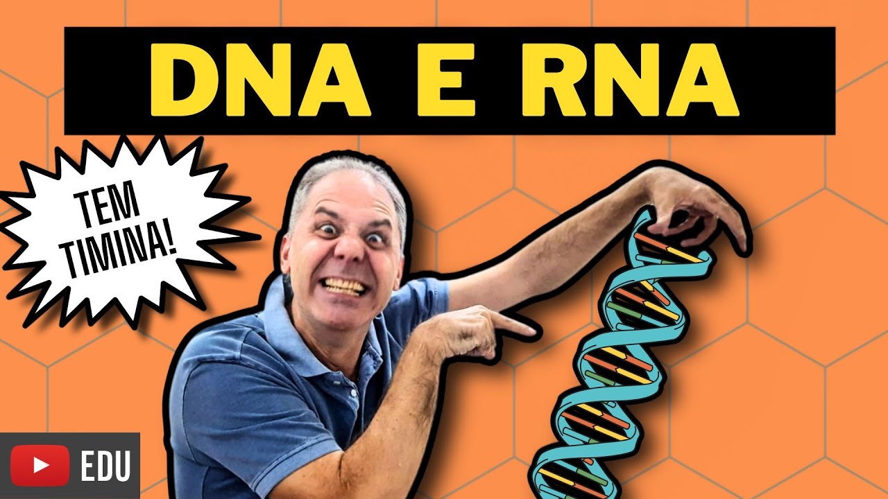 DNA E RNA - ÁCIDOS NUCLEICOS - BIOQUÍMICA com o Prof. Hilton| Ciência Traduzida