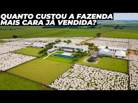 The most expensive farm ever sold in Brazil and in the world.
