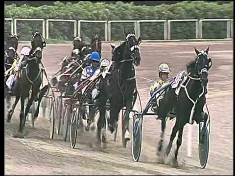 Trotto 17/05/2015 - 2° corsa