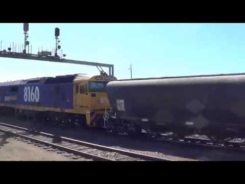 81 CLASS GRAIN TRAIN=GOULBURN