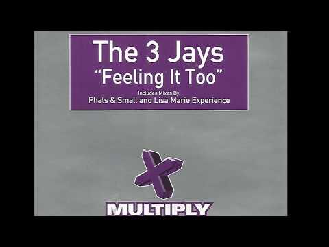 The 3 Jays - Feeling It Too (Lisa Marie Experience Remix)