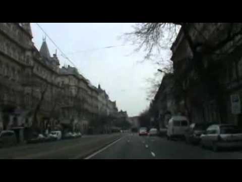 Benno szívműtétje- Benno herz operation