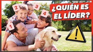 ¿Cuántos LÍDERES PUEDE TENER un PERRO 🤯