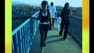 Full infected and  Whirly Bird  from  silver apple