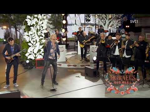 Tommy Nilsson & Jojje Wadenius – Got To Get You Into My Life (Live "Moraeus Med Mera")