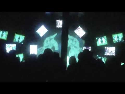 Mayapur sound system 20 years b.day freeparty(3)