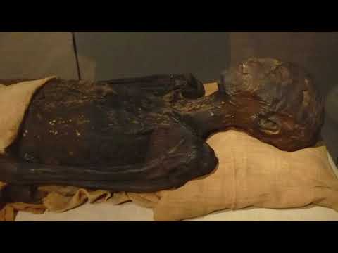 Ahmose “Child of the Moon” was a princess of the Seventeenth Dynasty of Egypt