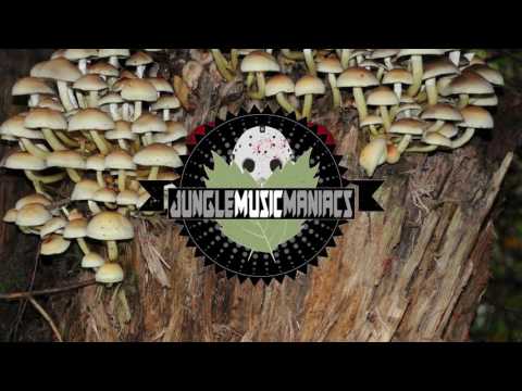 JayboX X Dorado - DTB (Original Mix)