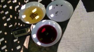 Homemade Fruit Fly Trap - what liquid to use