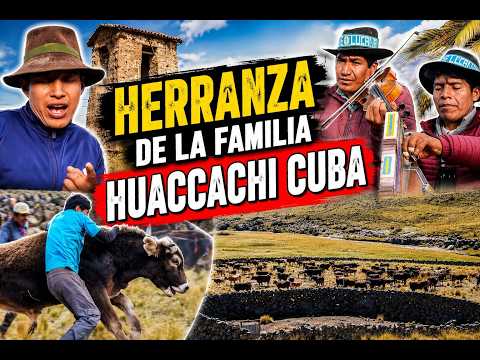 HERRANZA DE LA FAMILIA HUACCACHI CUBA- SACSAMARCA- HUANCA SANCOS 2026