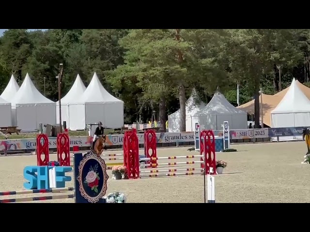 Merrie Franse rijpony PFS Te koop 2021 Vos ,  Heliostar de cazals