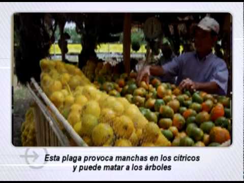 Titulares - 1 de abril de 2011