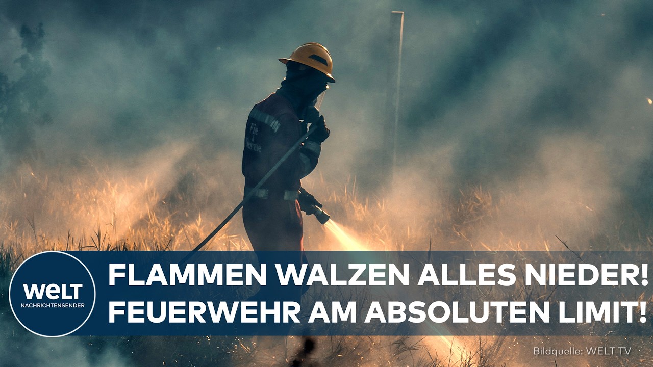 WALDBRAND-HÖLLE: Flammen wüten unaufhaltsam durch Europa! Feuerwehr kämpft am absoluten Limit!